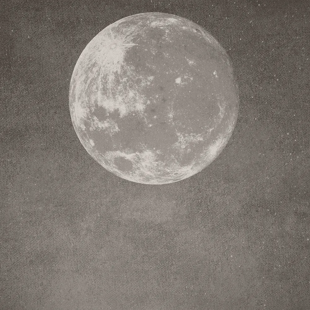 Affreschi & Affreschi  – Wallpaper AY-121 3D Model