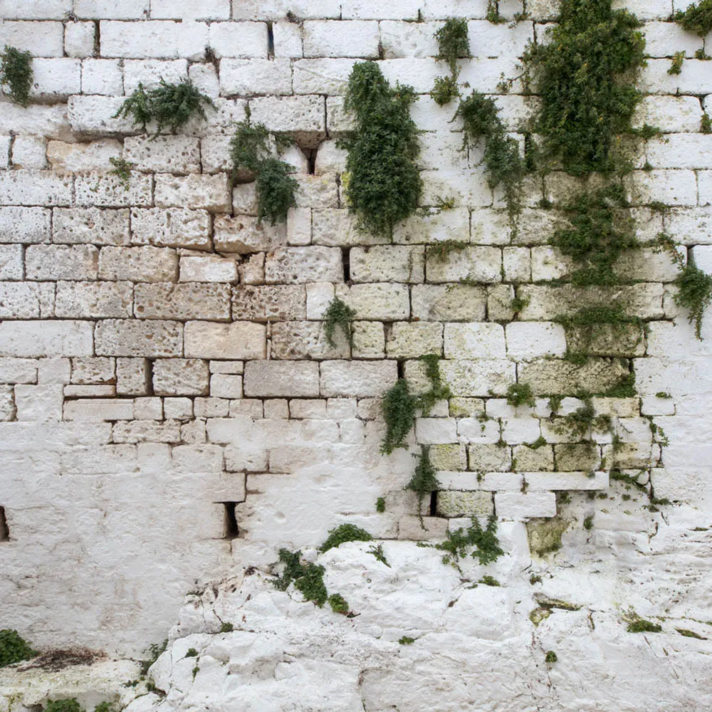 Affreschi & Affreschi  – Wallpaper AY-156 3D Model