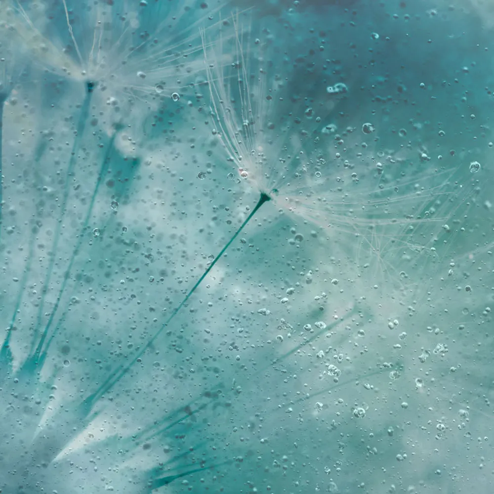 Affreschi & Affreschi  – Wallpaper AY-49 3D Model