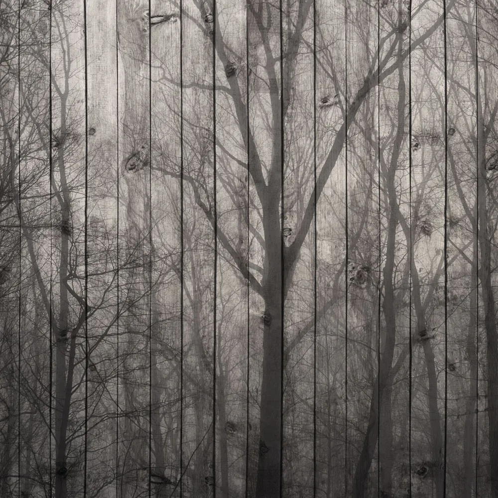 Affreschi & Affreschi  – Wallpaper AY-70 3D Model