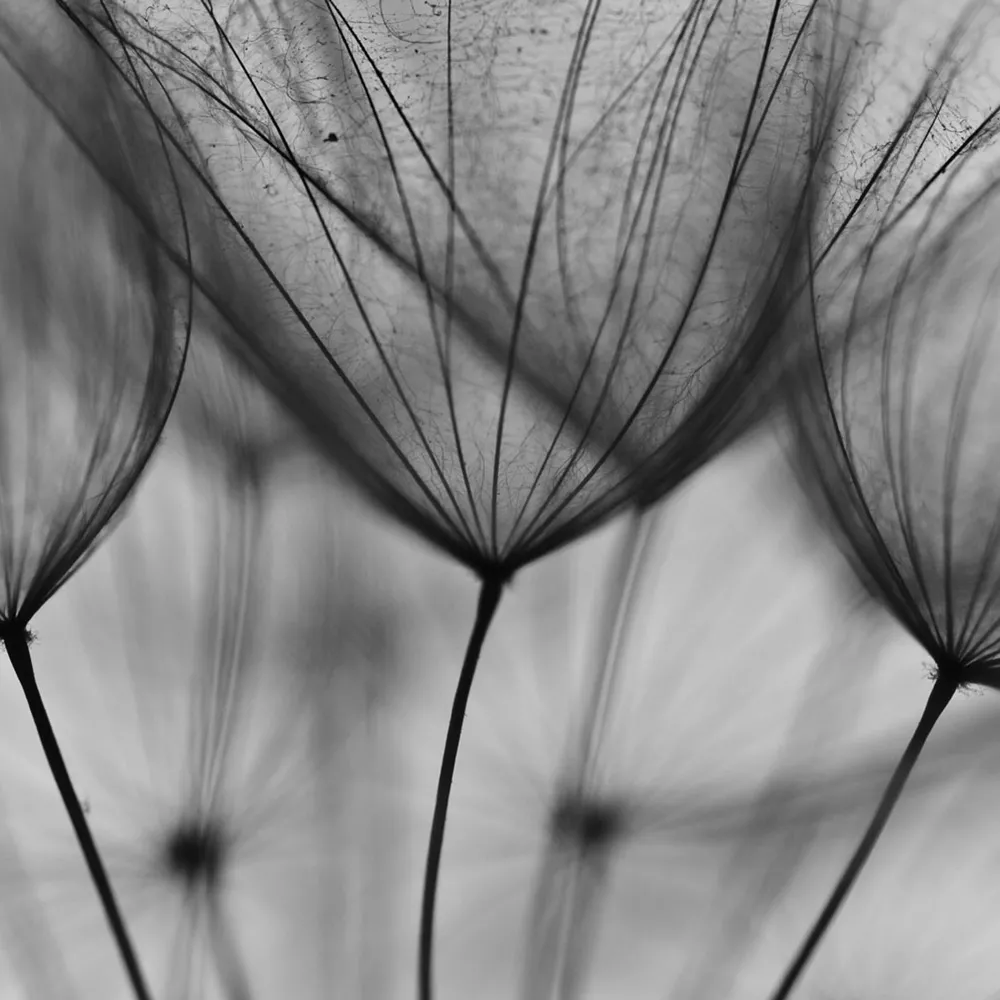 Affreschi & Affreschi  – Wallpaper AY-76 3D Model