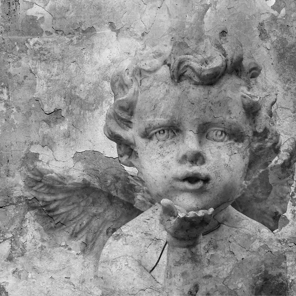 Affreschi & Affreschi  – Wallpaper CD-90D 3D Model