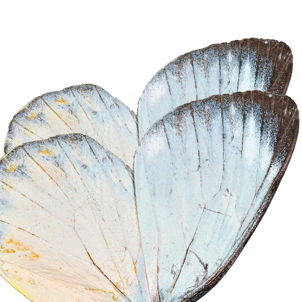 Affreschi & Affreschi  – Wallpaper SL-67D 3D Model