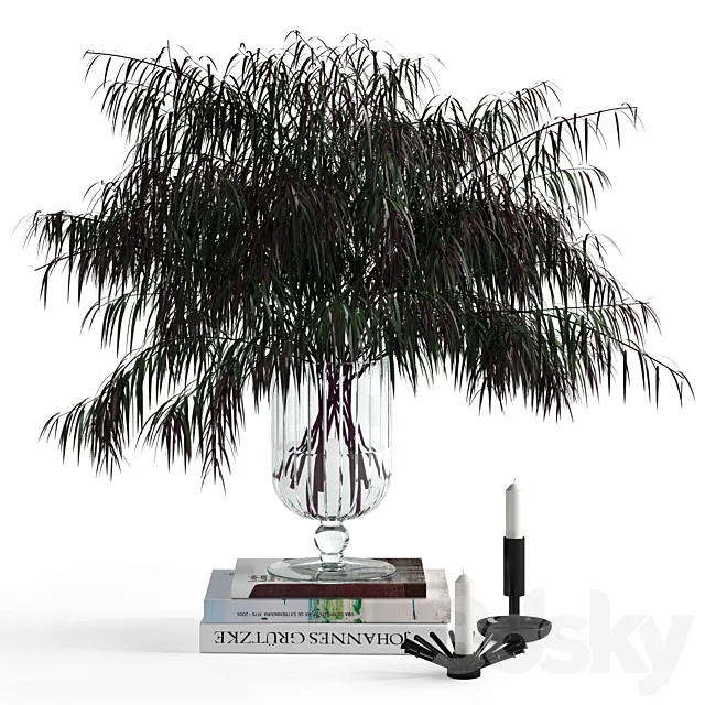 Agonis and candles 3DModel