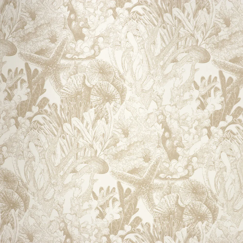 Aldeco – Sealife Outdoor 3D Model