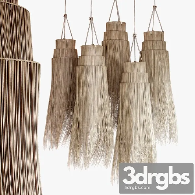 Algae lamp Algae lamp