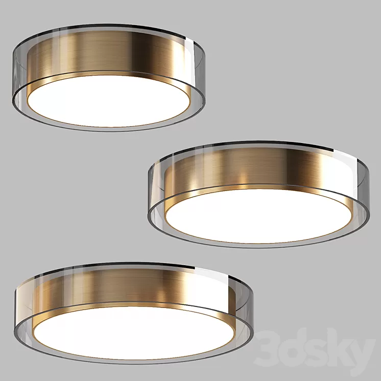 Aliexpress | ceiling lamp 018 3D Model