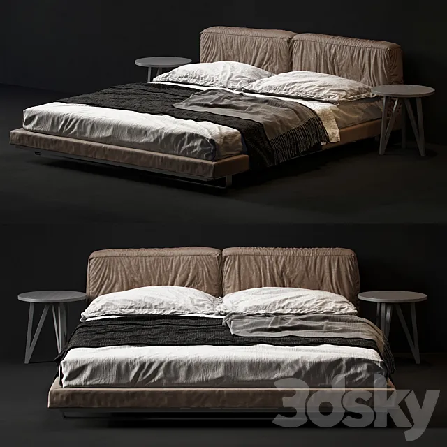 Alivar echo 3DModel Alivar echo 3DModel