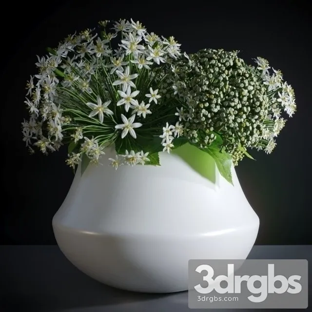 Allium Neapolitanum Bouquet 3D Model Download