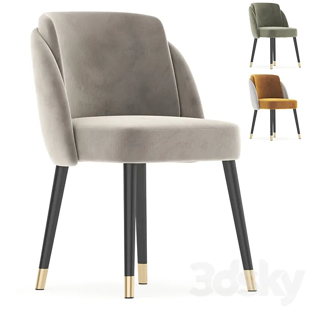 alpha chain 3D Model alpha chain 3D Model