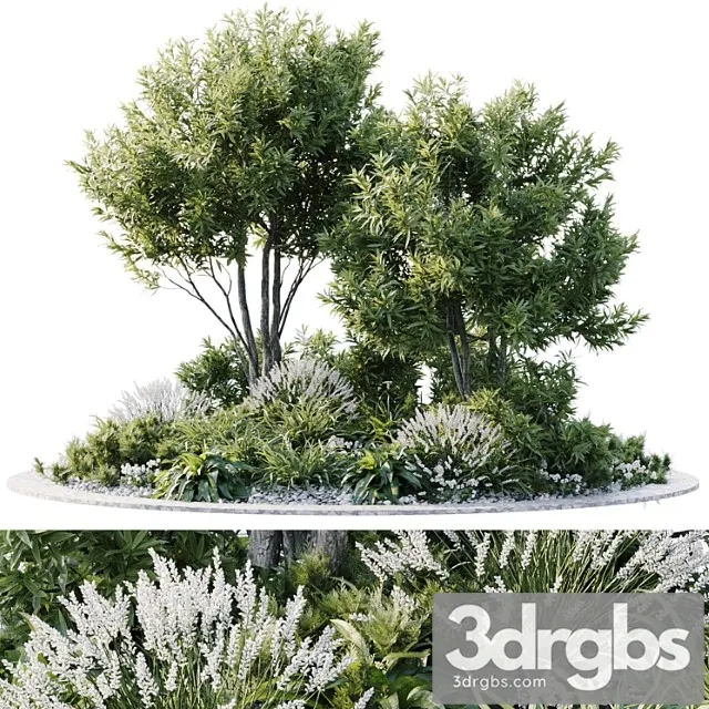 Alpine hill 6 Alpine hill 6