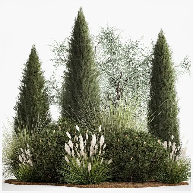 Alpine hill olive pine reed thuja and cypress feather grass grass silver goof. Plant collection 1188 3D Model