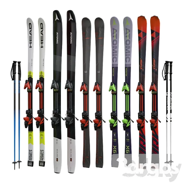 Alpine skiing and sticks 3D Model Download