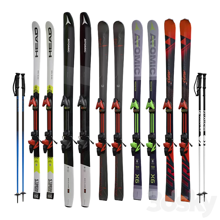 Alpine skiing and sticks 3D Model