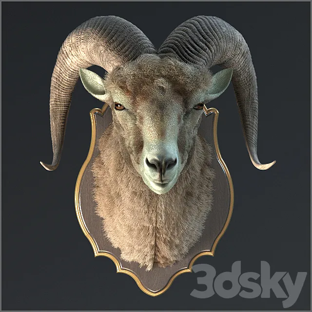 Altai argali 3D Model Altai argali 3D Model