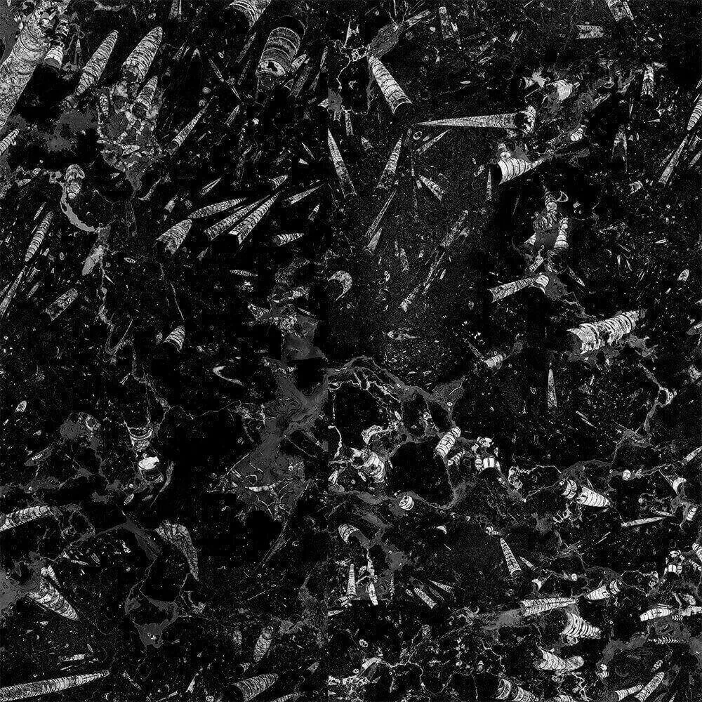 Alumoart – Interior panel Fossil Nero 3D Model Alumoart – Interior panel Fossil Nero 3D Model