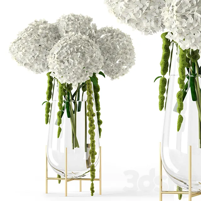 Amaranthus and Hyndrangea 3DModel Amaranthus and Hyndrangea 3DModel