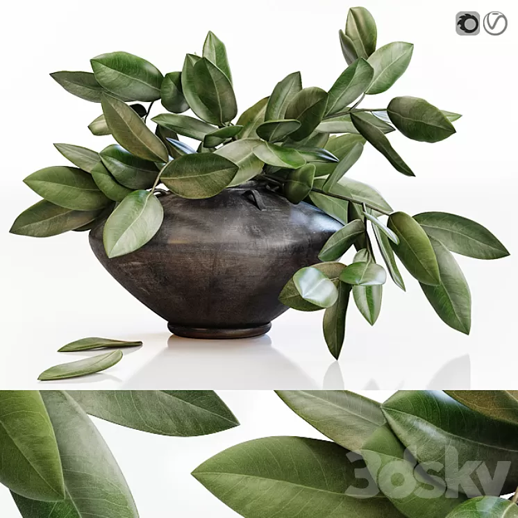 Amazing plant in black vase 3D Model