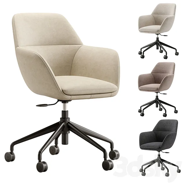 AMEDEE Office chair. Ligne Roset 3D Model