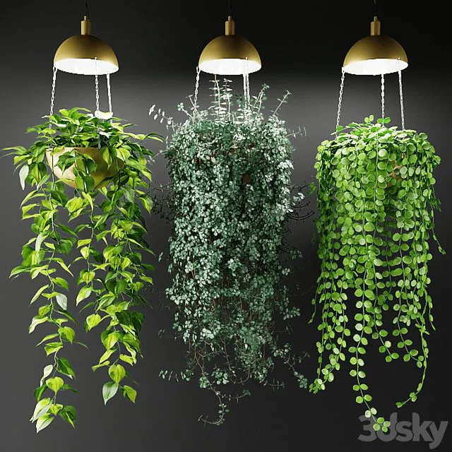Ampel plants in a cache-pot with lamps 3D Model