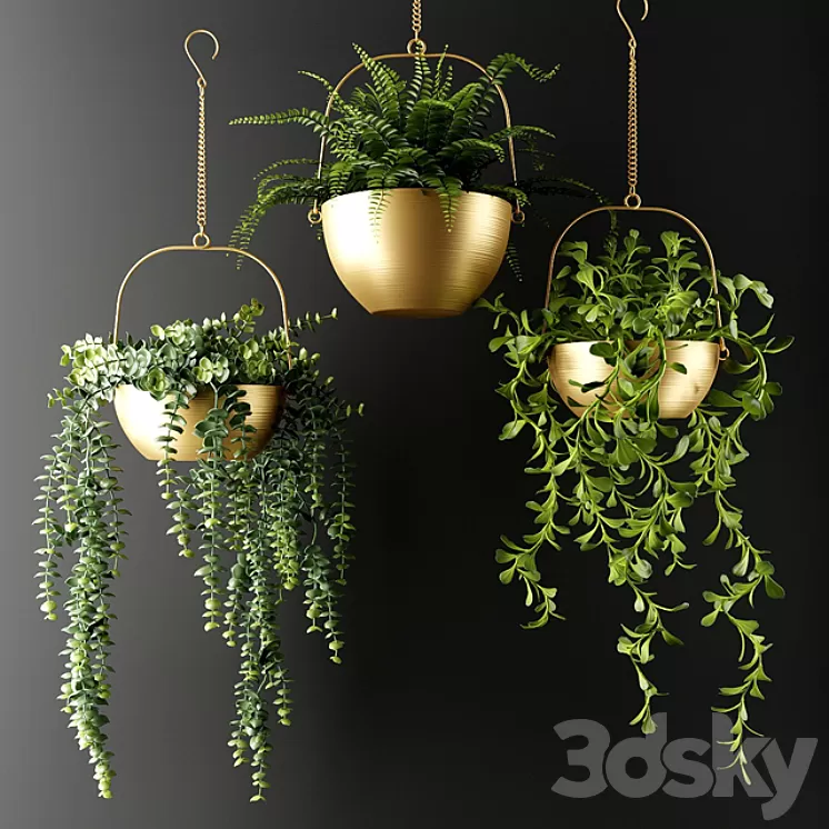 Ampel plants in bronze flower pots | Ampel plants in bronze flower pots 3D Model