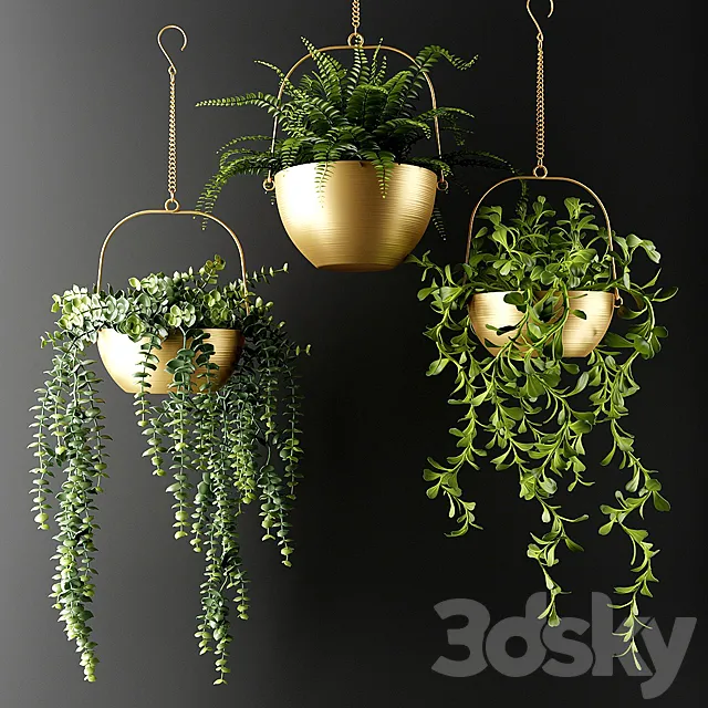 Ampel plants in bronze flower pots | Ampel plants in bronze flower pots 3DModel