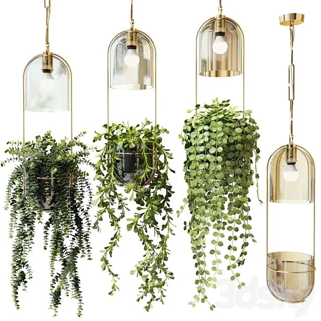 Ampel plants in hanging pots lamps – set 2 3D Model