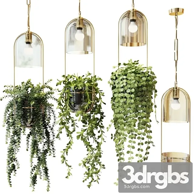 Ampel plants in hanging pots lamps – set 2 Ampel plants in hanging pots lamps – set 2