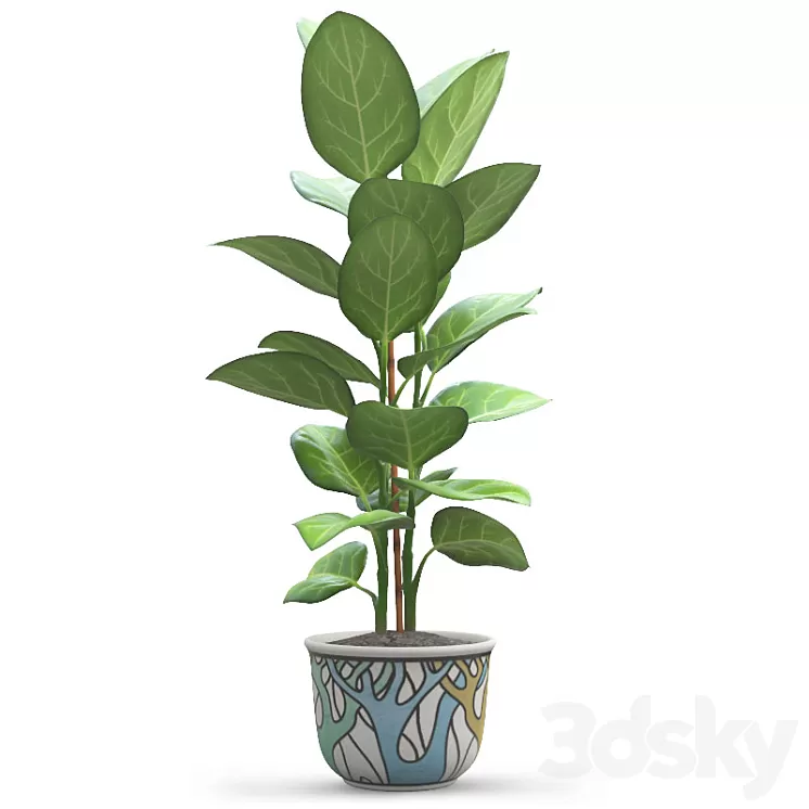 Andre Ficus 3D Model Andre Ficus 3D Model