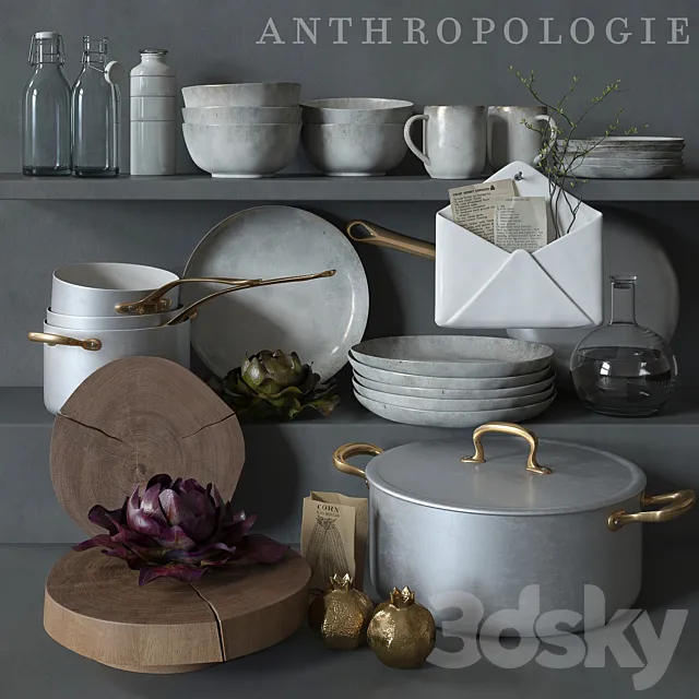 Anthropologie 3D Model