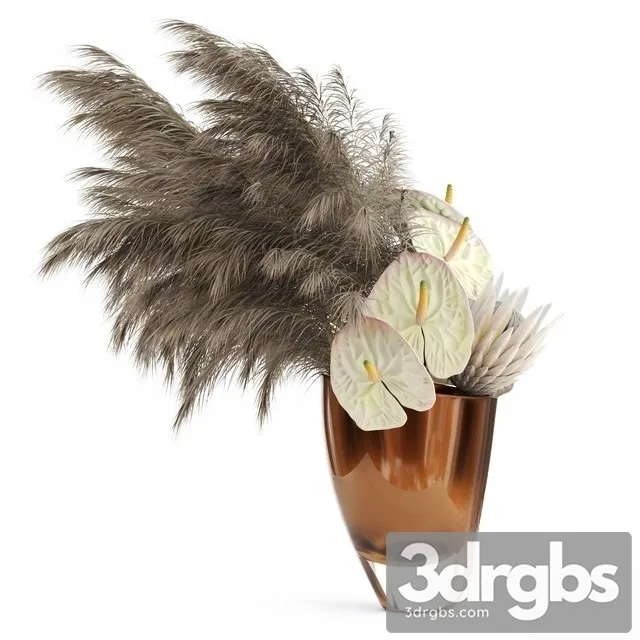 Anthuriums Protea Pampas Grass 3D Model Download