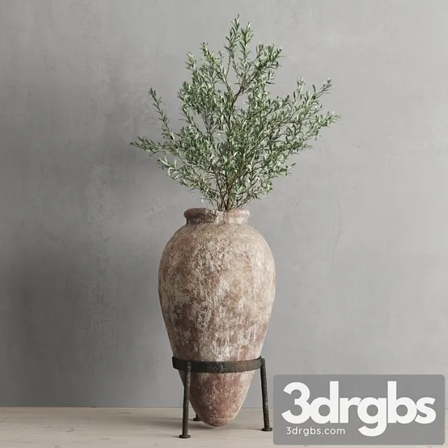 Antichnyi Sosud I Olivkovaia Vetv 3D Model Download