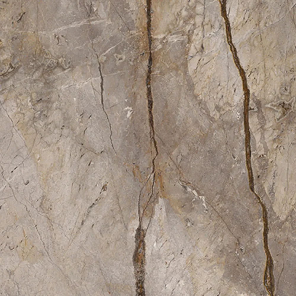 Apavisa  – Forest Grey Wild 3D Model