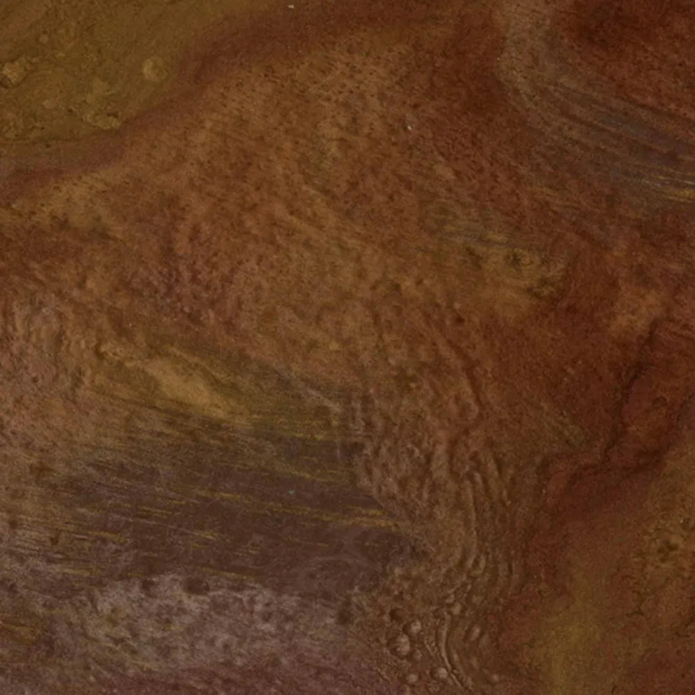 Apavisa  – Red Natural Aquarela 3D Model