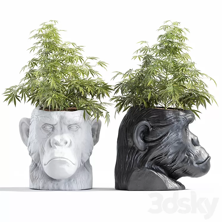 Ape Head Planter 3D Model