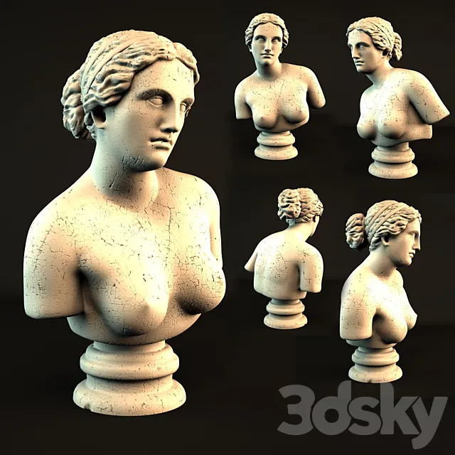 Aphrodite bust 3DModel