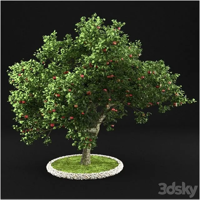 Apple Tree 002 3D Model Apple Tree 002 3D Model