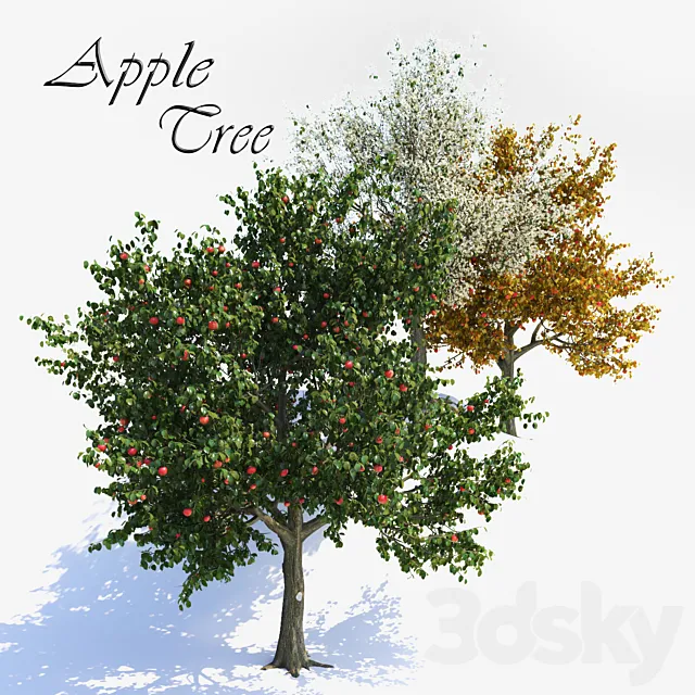 Apple Tree 1 3D Model Apple Tree 1 3D Model