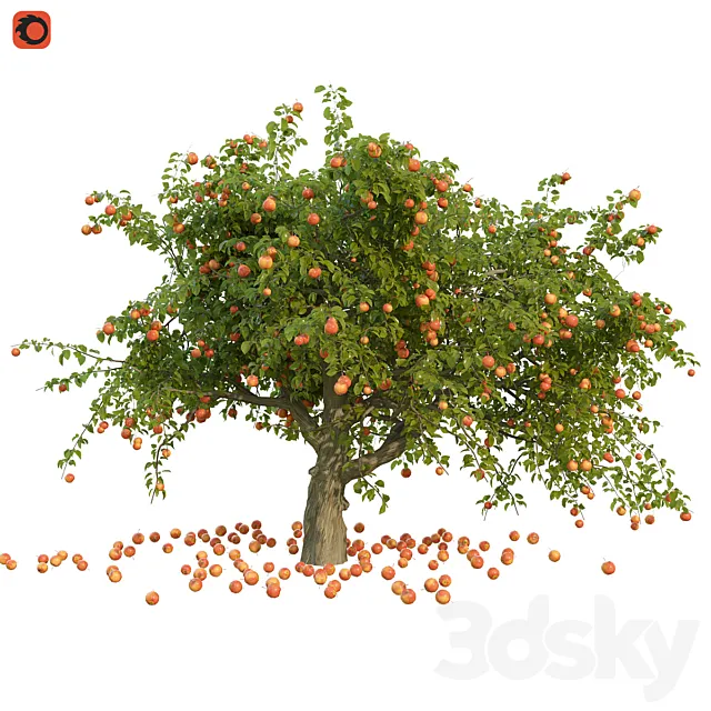 Apple tree 3DModel Apple tree 3DModel