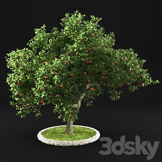 Apple Tree 3D Model Apple Tree 3D Model