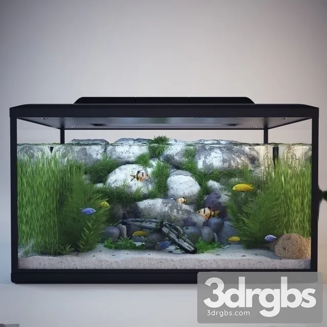 Aquarium 01 3D Model Download