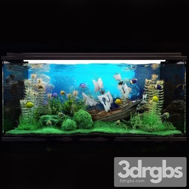Aquarium 03 3D Model Download