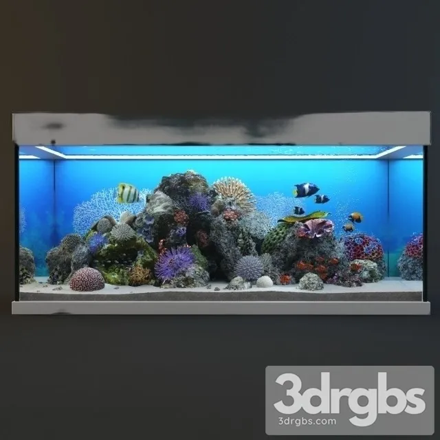 Aquarium 04 3D Model Download