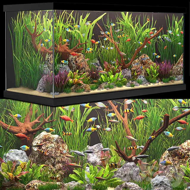 Aquarium 3D Model Aquarium 3D Model