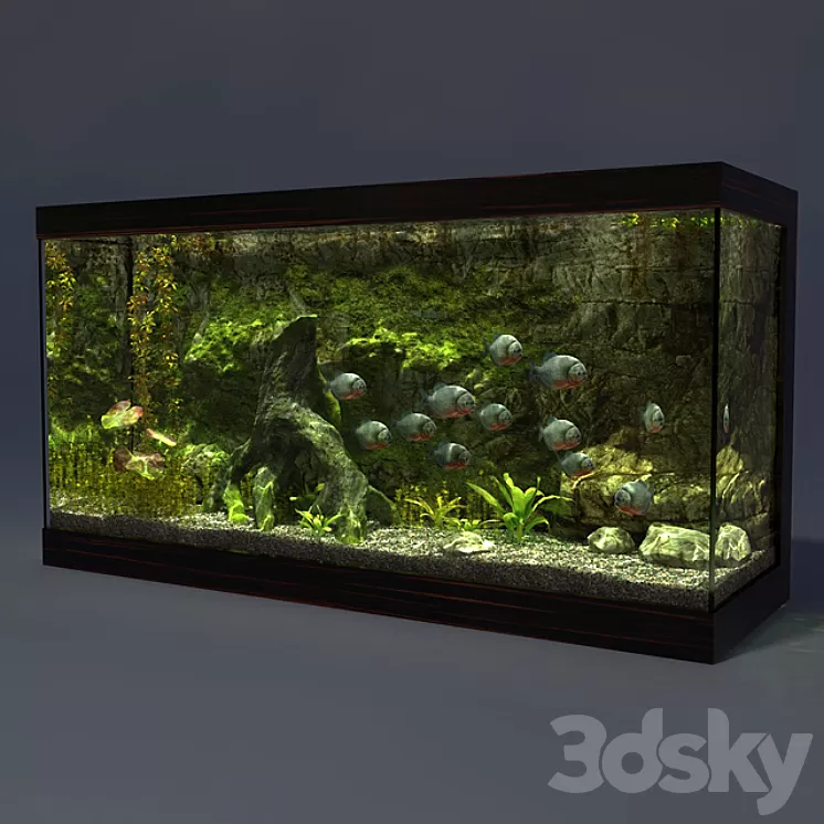 Aquarium 3D Model Aquarium 3D Model