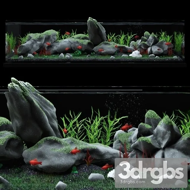 Aquarium 3D Model 3D Model Download Aquarium 3D Model 3D Model Download