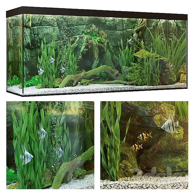 Aquarium 3D Model Aquarium 3D Model