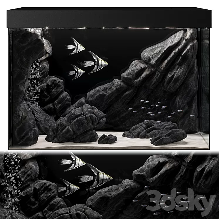Aquarium 3D Model Aquarium 3D Model