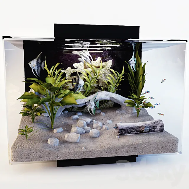 Aquarium 3D Model Aquarium 3D Model