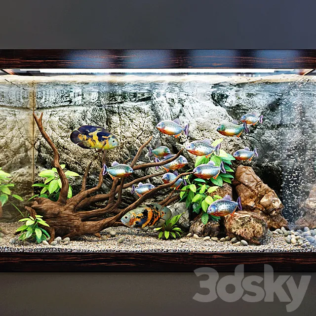 Aquarium 3DModel Aquarium 3DModel